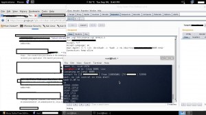 Exploiting a clients webserver